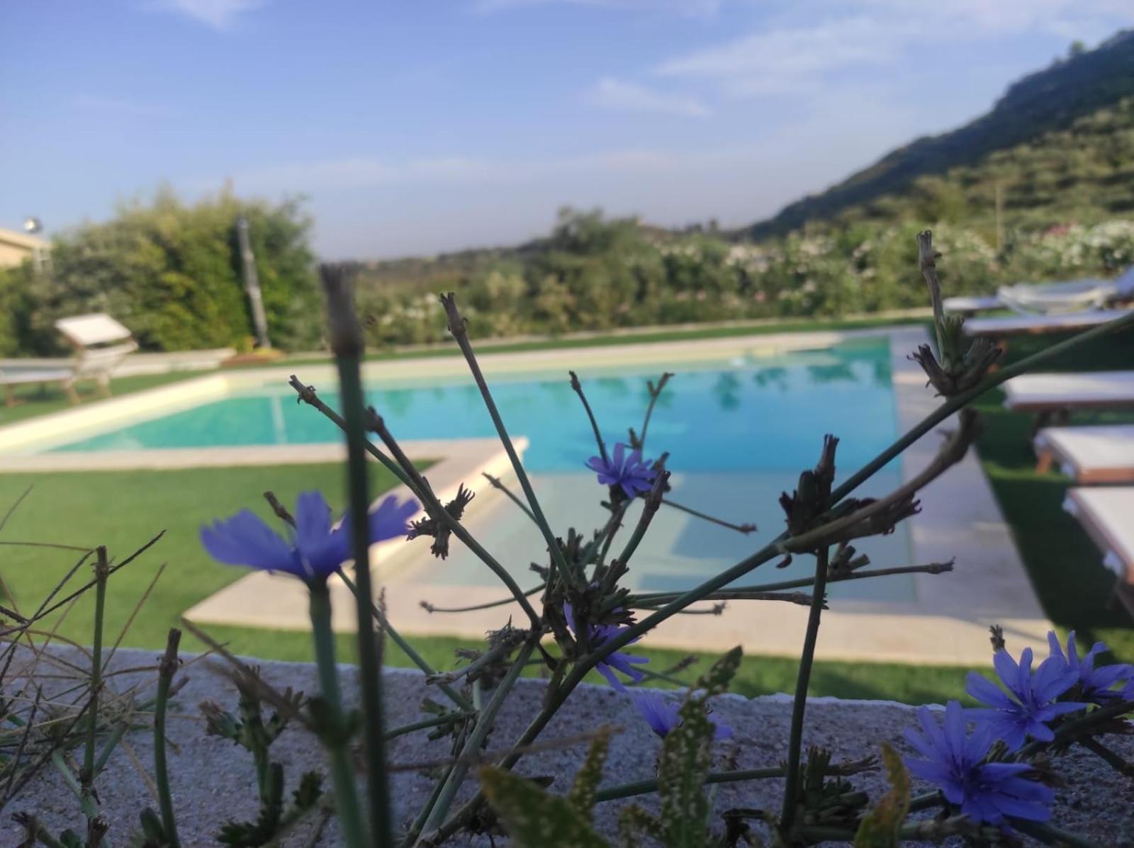 B&B Badde Tale Ossi Exterior photo